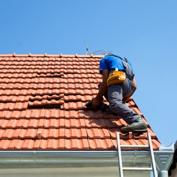 Roofers Image